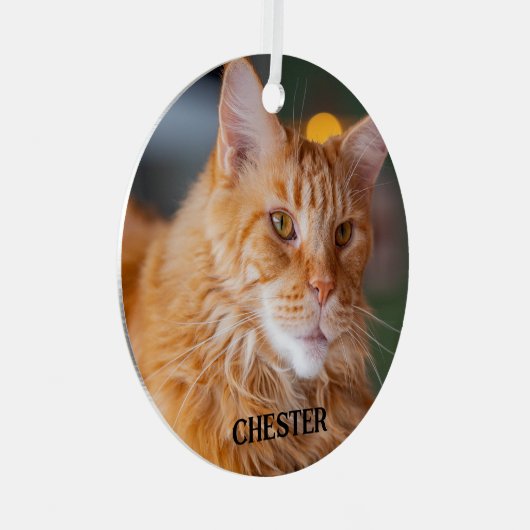 Fluffy Oranje tablet Maine Coon Cat Metalen Ornament (Voorkant Rechts)