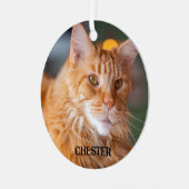 Fluffy Oranje tablet Maine Coon Cat Metalen Ornament (Voorkant links)