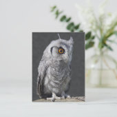 Fluffy Owlet Briefkaart (Staand voorkant)