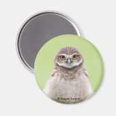 Fluffy Owlet Magnet Magneet (Voorkant / Achterkant)