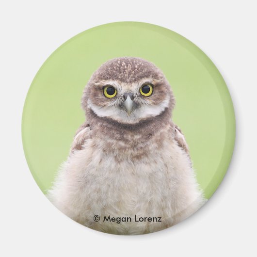 Fluffy Owlet Magnet Magneet (Voorkant)