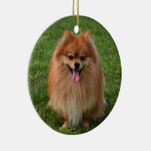 Fluffy Pomeranian Puppy Dog Keramisch Ornament (Rechts)