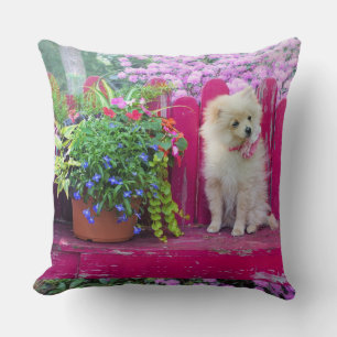 Fluffy Pommeranian Puppy Rustic Garden Bloemen Kussen