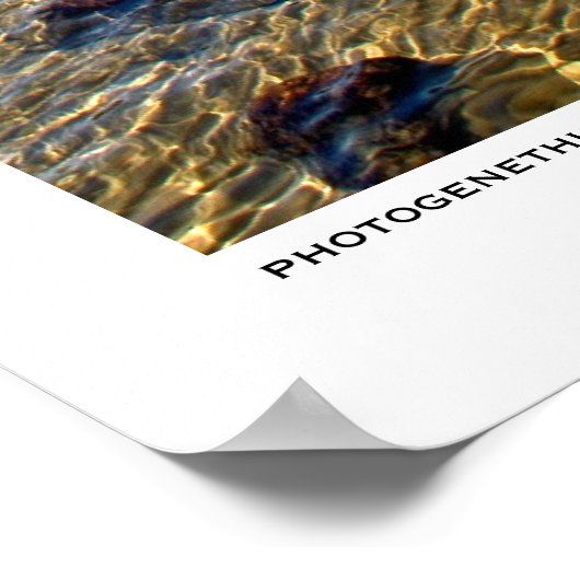 Fluffy Poster (Hoek)