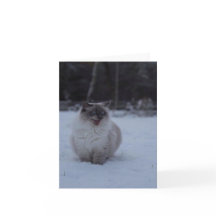 Fluffy Ragdoll Cat in het Sneeuw Wenskaart