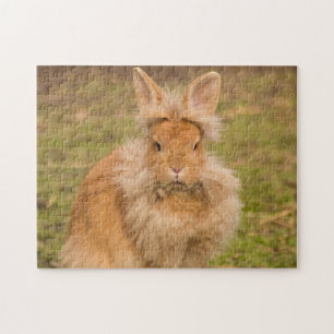 Fluffy Red Lionhead Bunny Rabbit Legpuzzel