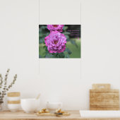 Fluffy roze rozen Poster: ROOS & PROSE 20x16 Poster (Keuken)