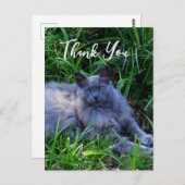 Fluffy Russian Blue Cat Hartelijk dank Briefkaart (Voorkant / Achterkant)