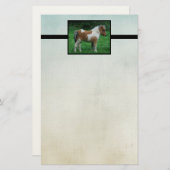 Fluffy Schattig dartmoor-Pony Briefpapier (Voorkant / Achterkant)