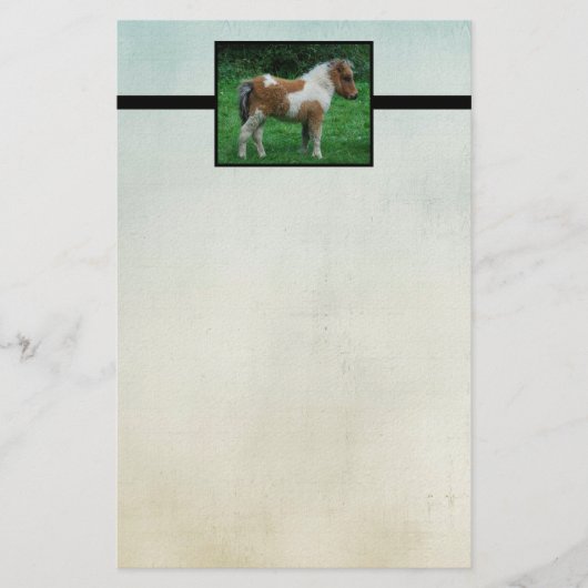 Fluffy Schattig dartmoor-Pony Briefpapier (Voorkant)