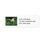 Fluffy Schattig dartmoor-Pony Etiket (Voorkant)