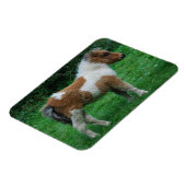 Fluffy Schattig dartmoor-Pony Magneet (Linkerzijde)