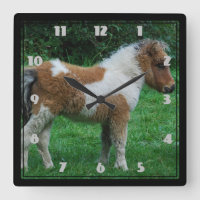 Fluffy Schattig dartmoor-Pony