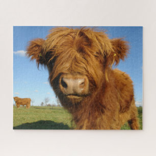 Fluffy Scottish Highland Koe - Blue Sky Legpuzzel