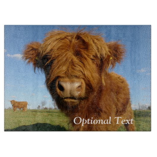 Fluffy Scottish Highland Koe - Blue Sky Snijplank (Voorkant)