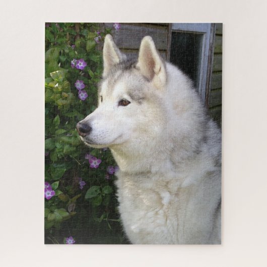 Fluffy Siberian Husky Puppy Dog Legpuzzel (Verticaal)