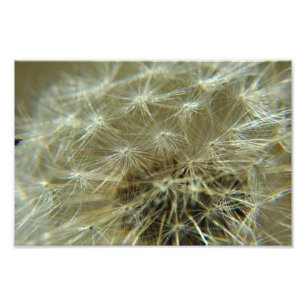 Fluffy Sphere - Foto Afdruk