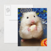 Fluffy Syrian Hamster Kokolinka Briefkaart (Voorkant / Achterkant)