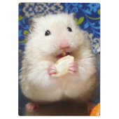 Fluffy Syrian Hamster Kokolinka Klembord (Achterkant)