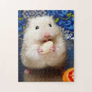 Fluffy Syrian Hamster Kokolinka Legpuzzel