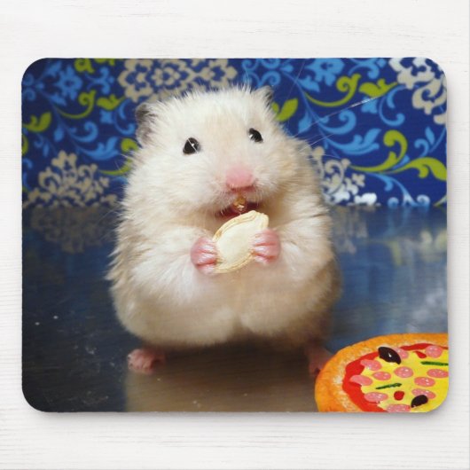 Fluffy Syrian Hamster Kokolinka Muismat (Voorkant)