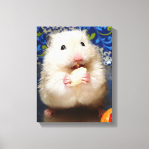 Fluffy syrische hamster Kokolinka die een zaadje e Canvas Afdruk