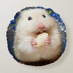 Fluffy syrische hamster Kokolinka die een zaadje e Rond Kussen