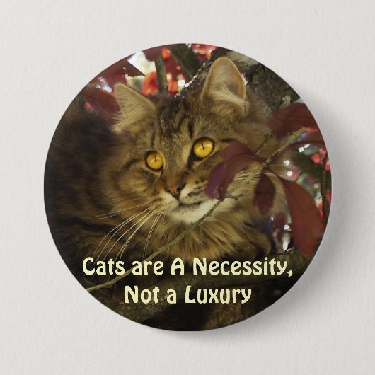 Fluffy TABBY CAT Pet Lover Buttonnen Ronde Button 7,6 Cm (Voorkant)