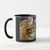 Fluffy TABBY KITTEN Gift Mugs (Gauche)