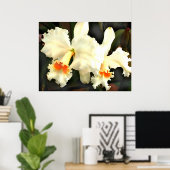 Fluffy White Cat...tleyas Poster (Thuiskantoor)