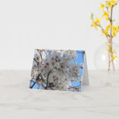 Fluffy White Cherry Blossom Wenskaart Kaart (Gele Bloem)
