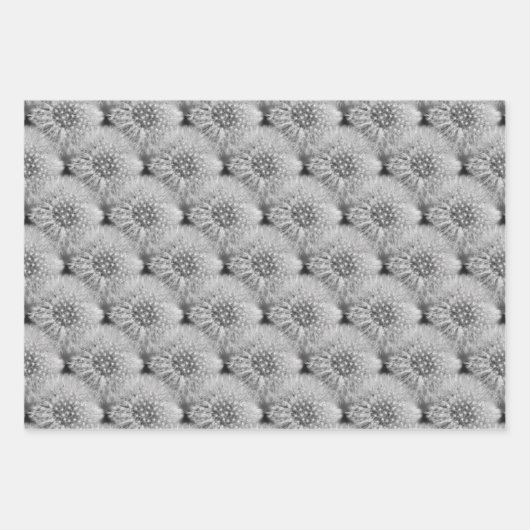 Fluffy White Dandelions Natuur Patroon Inpakpapier Vel (Voorkant 3)