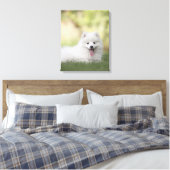 Fluffy White Keeshond Puppy Canvas Afdruk (Insitu (Slaapkamer))