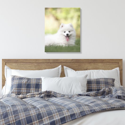 Fluffy White Keeshond Puppy Canvas Afdruk (Insitu (Slaapkamer))