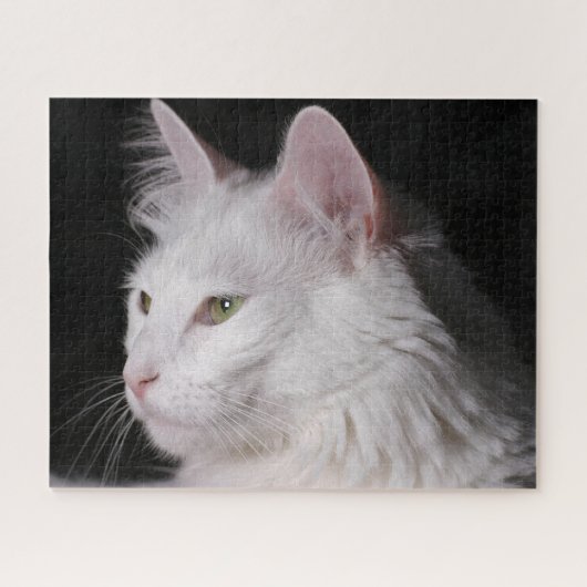Fluffy White Maine Coon Cat Legpuzzel (Horizontaal)
