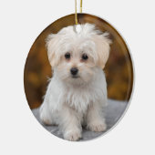 Fluffy White Maltese Puppy Dog Keramisch Ornament (Links)