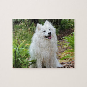 Fluffy White Spitz Puppy Dog Legpuzzel