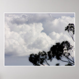 Fluffy Whites-Poster Poster