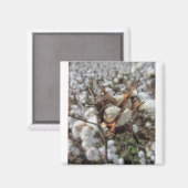 Fluffy witte katoenen bollen magneet (Voorkant / Achterkant)