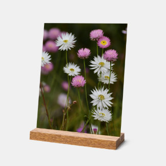 Fluisteringen van Wilde Bloemen Acryl Bord
