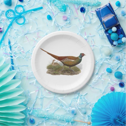 fluitvormingskleur papieren bordje (Feest)