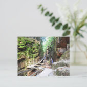 Flume Gorge New Hampshire Briefkaart (Staand voorkant)