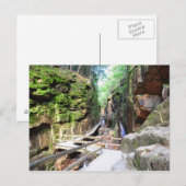 Flume Gorge New Hampshire Briefkaart (Voorkant / Achterkant)