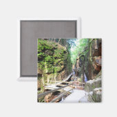 Flume Gorge New Hampshire magneet (Voorkant / Achterkant)