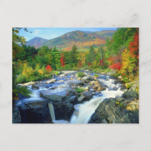 Flume Herfsten Adirondack Mountains Briefkaart