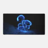 Fluorescence (Recto)