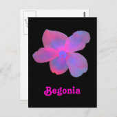 Fluorescent Begonia  Briefkaart (Voorkant / Achterkant)