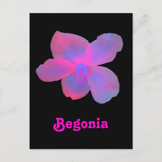Fluorescent Begonia  Briefkaart (Voorkant)
