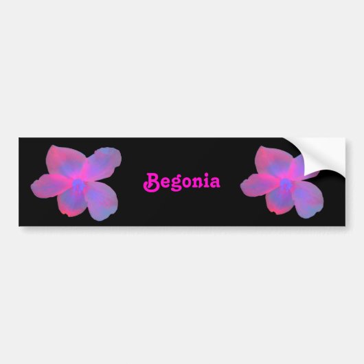 Fluorescent Begonia Bumpersticker (Voorkant)