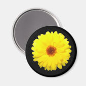 Fluorescent Marigold Magnet Magneet (Voorkant / Achterkant)
